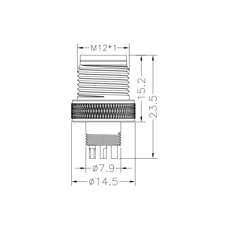M12 3pins A code male moldable connector,unshielded,brass with nickel plated screw